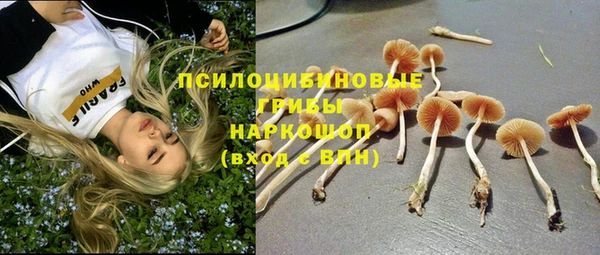 мдпв Киренск